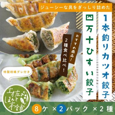 ふるさと納税 四万十市 四万十ひすい餃子・一本釣りかつお餃子(8ヶ×4パック×2種)タレ付き にんにく不使用 26-014