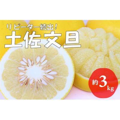 ふるさと納税 越知町 [2026年発送]森下さん家の土佐文旦(約3kg/4〜7玉) フルーツ 果物 新鮮 産直