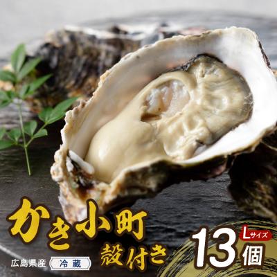 ふるさと納税 呉市 [2025年11月解禁後順次発送]高田水産殻付かき小町13個(Lサイズ)