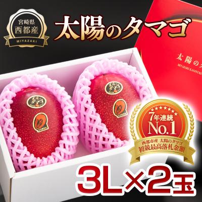 ふるさと納税 西都市 [太陽のタマゴ3L×2玉]西都市産完熟マンゴー『先行受付』[2361]