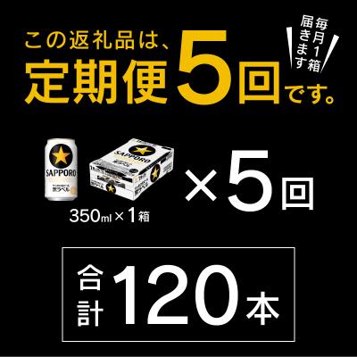 ふるさと納税 焼津市 【定期便 5回】黒ラベルビール 350ml×1箱(24缶)(T0120-1605d) |  | 02
