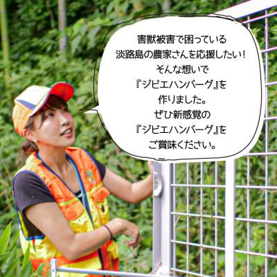 ふるさと納税 淡路市 【ジビエハンバーグ】淡路島産イノシシハンバーグ12個セット　as23010 |  | 03