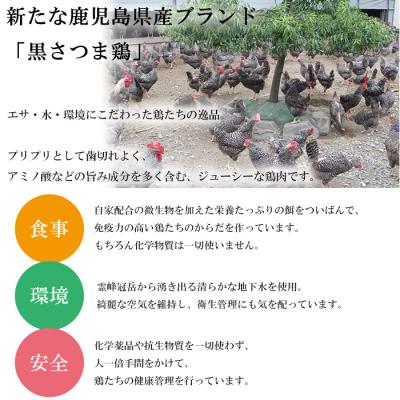 ふるさと納税 いちき串木野市 鹿児島県産 3種の鶏タタキセット 鳥刺し 約800g |  | 03