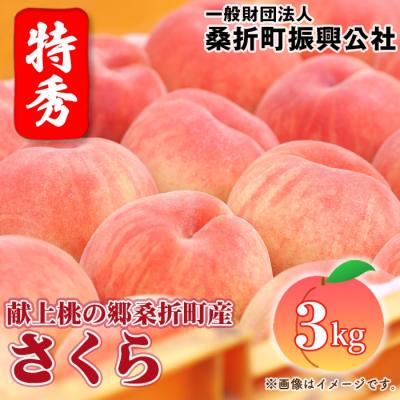 ふるさと納税 桑折町 もも[さくら・2026年産先行受付]特秀3kg(8〜11玉)桑折町振興公社 桃