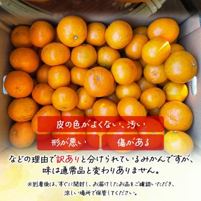 ふるさと納税 香南市 【11月中旬より順次配送】訳あり 山北みかん 小玉 