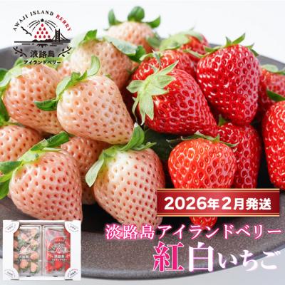 ふるさと納税 淡路市 淡路島アイランドベリー 紅白いちご[2026年2月発送受付・お届け日指定不可]