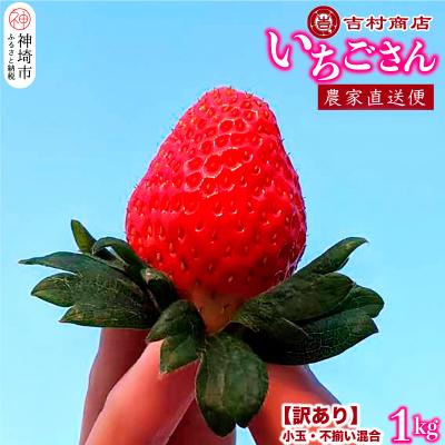 ふるさと納税 神埼市 [訳あり]いちごさん 約1kg (小玉不揃い混合)(H098108)