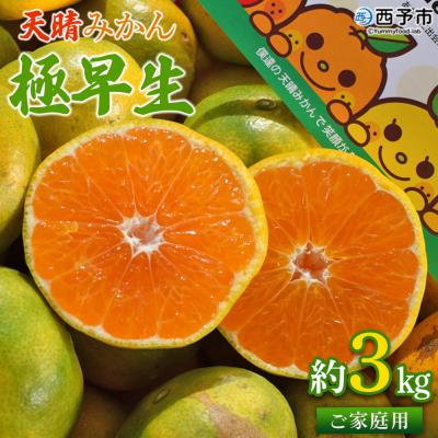 ふるさと納税 西予市 [先行予約]愛媛県明浜産 天晴みかん(極早生みかん) 3kg