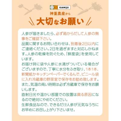 ふるさと納税 碧南市 (TVで紹介)【訳あり】こどもも食べられる甘み!「マドンナキャロット」 5kg H105-243 |  | 03