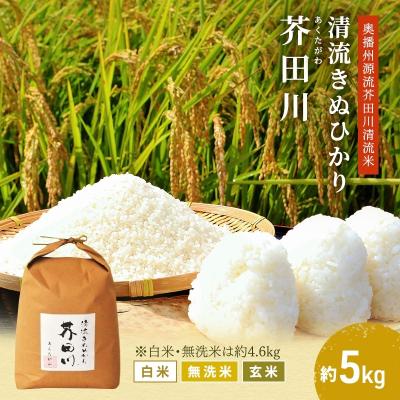 ふるさと納税 加西市 白米 [令和7年産] キヌヒカリ 約4.6kg [ 白米 ] 精米 [No5698-7825]
