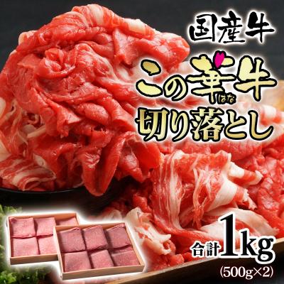 ふるさと納税 西都市 [宮崎有田牧場]国産牛切り落とし1kg(500g×2)ブランド牛「この華牛」牛肉[2818]