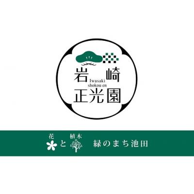 ふるさと納税 池田市 岩崎正光園  苔テラリウム |  | 03