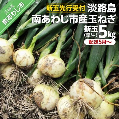 ふるさと納税 南あわじ市 [新玉先行受付]淡路島 南あわじ市産玉ねぎ5kg 早生 ◆配送5月〜