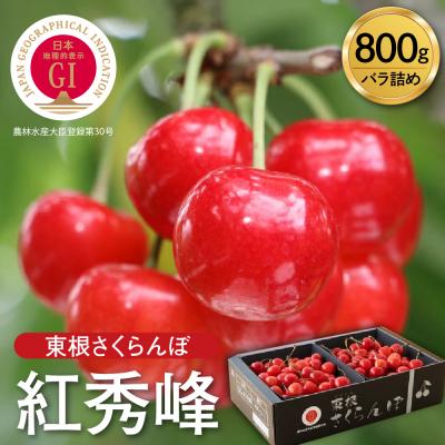 ふるさと納税 東根市 [2027年産]GI東根さくらんぼ「紅秀峰」800g バラ詰め hi001-040-r9