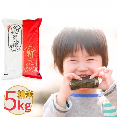ふるさと納税 三条市 新潟県産 新之助 5kg しんのすけ 令和7年産 [株式会社白熊]