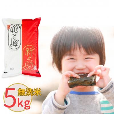 ふるさと納税 三条市 新潟県産 無洗米 新之助 5kg しんのすけ 令和7年産 [株式会社白熊]
