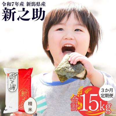ふるさと納税 三条市 [定期便5kg×3か月] 新潟県産 新之助 計15kg [株式会社白熊] 