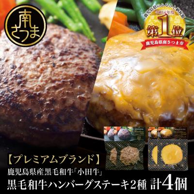 ふるさと納税 南さつま市 [プレミアムブランド]鹿児島県産黒毛和牛「小田牛」 牛肉100% 2種類のハンバーグステーキ 計4個