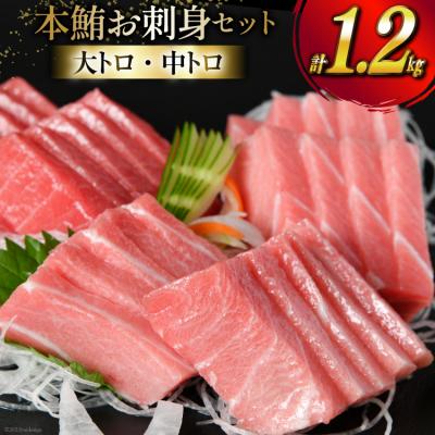 ふるさと納税 気仙沼市 [高級旅館御用達] 本鮪 お刺身セット 大トロ 800g 中トロ 400g 20563969 ◎