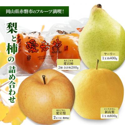 ふるさと納税 赤磐市 梨 柿 2025年 愛宕梨・新高梨・ヤーリー・愛宕柿の詰め合わせ [NO5765-0975]