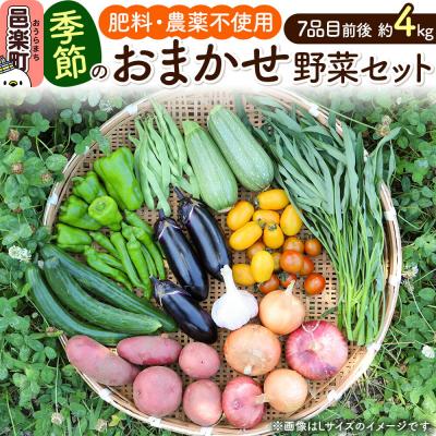 ふるさと納税 邑楽町 自然栽培 春夏 季節のお任せ野菜セット Mサイズ|09_tyf-010101