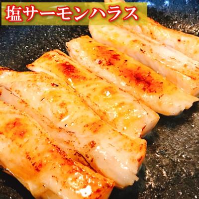 ふるさと納税 根室市 年魚4〜8P\u0026塩サーモンハラス220g×10P C-09044