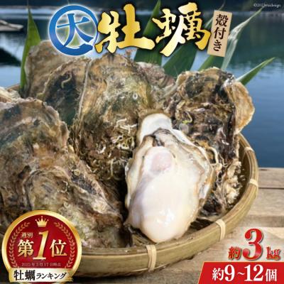 ふるさと納税 気仙沼市 [期間限定発送]牡蠣 大粒 3〜4年モノ 殻付き 約3kg(約9-12個入) 20564160