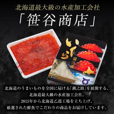 ふるさと納税 乙部町 前浜の鮭から丁寧にお届け 輝く 贅沢なひと粒【いくら醤油漬:1パック(500g)】 |  | 03