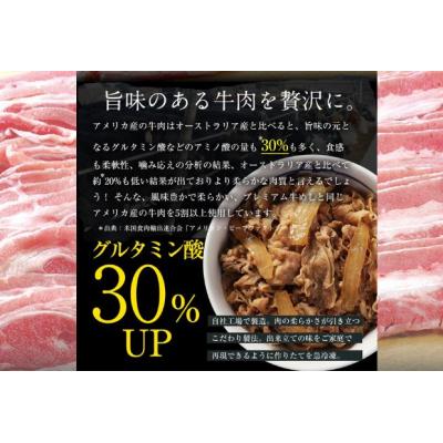 ふるさと納税 嵐山町 牛丼 松屋 プレミアム仕様 牛めしの具 10個 冷凍 セット[No.5755-0123] |  | 02