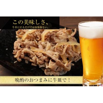 ふるさと納税 嵐山町 牛丼 松屋 プレミアム仕様 牛めしの具 30個 冷凍 セット[No.5755-0125] |  | 03