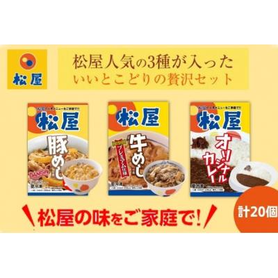 ふるさと納税 嵐山町 松屋 牛めし 豚めし カレー 20個 セット 冷凍 カレー 牛丼 豚丼