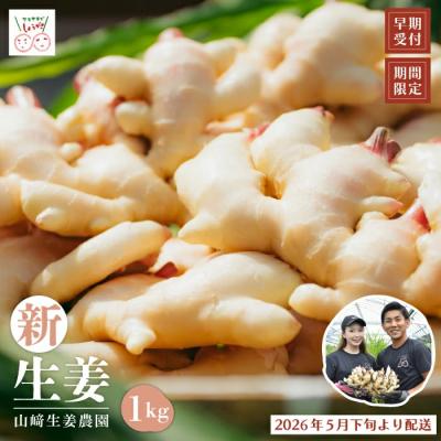 ふるさと納税 四万十市 [早期受付・期間限定]みずみずしさがたまらない!新生姜約1kg[2026年5月下旬〜9月上旬配送]