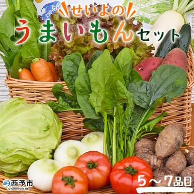 ふるさと納税 西予市 &lt;せいよのうまいもんセット:新鮮野菜の詰合せ(5〜7品目)&gt; 旬 特産品 季節 多品目