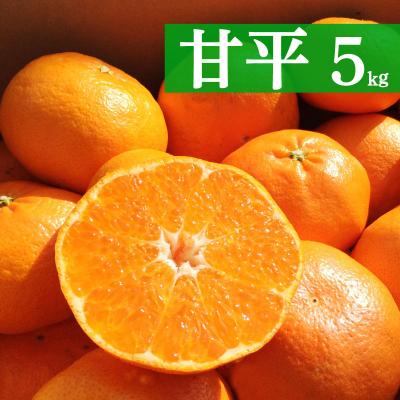 ふるさと納税 愛南町 先行受付 フルーツアイランド・マルエム産 甘平 約5kg