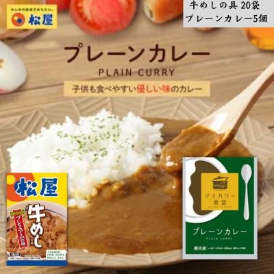 ふるさと納税 嵐山町 松屋 牛めしの具プレミアム仕様20個 プレーンカレー 5個 牛丼 カレー