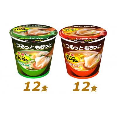 ふるさと納税 嵐山町 インスタント 明星 ノンフライ ワンタン スープ 2種 セット 24個