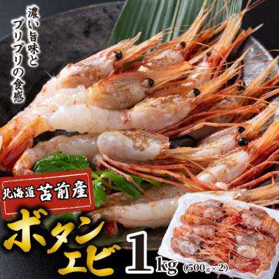 ふるさと納税 苫前町 【数量限定】北海道苫前産 ボタンエビ 1kg(500g×2) ぼたんえび 牡丹海老 kit04 | 