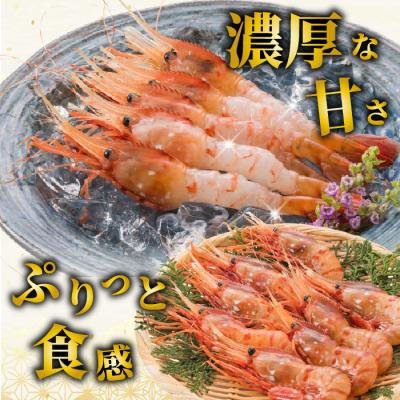 ふるさと納税 苫前町 【数量限定】北海道苫前産 ボタンエビ 1kg(500g×2) ぼたんえび 牡丹海老 kit04 |  | 01