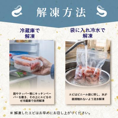 ふるさと納税 苫前町 【数量限定】北海道苫前産 ボタンエビ 1kg(500g×2) ぼたんえび 牡丹海老 kit04 |  | 02