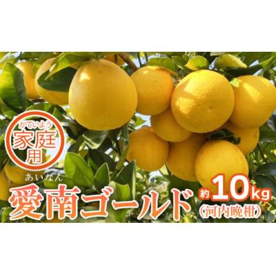 ふるさと納税 愛南町 家庭用 先行予約 2026年発送 愛南ゴールド(河内晩柑)約10kg 前田ファーム