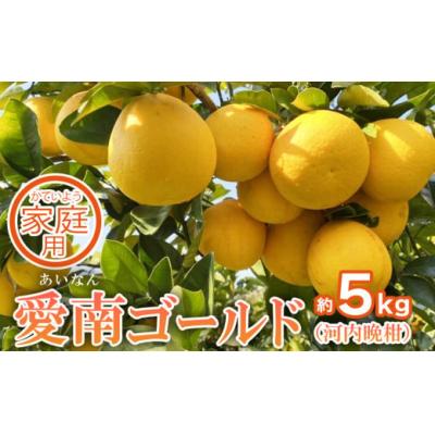 ふるさと納税 愛南町 家庭用 愛南ゴールド(河内晩柑)約5kg 前田ファーム