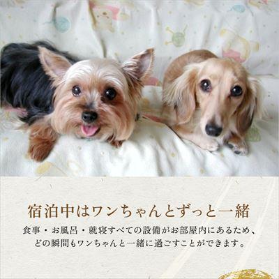 ふるさと納税 霧島市 《日〜木曜日押さえる》愛玩動物附いて行くグランピングペア1棟一時滞在券 (1泊2食付)【こしかの海水浴場】P2-014