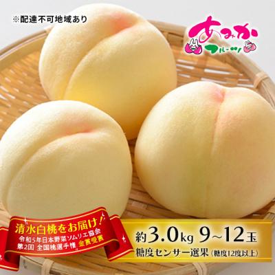 ふるさと納税 赤磐市 桃 2026年 先行受付 清水 白桃 をお届け!約3.0kg 9〜12玉 [NO5765-0988]