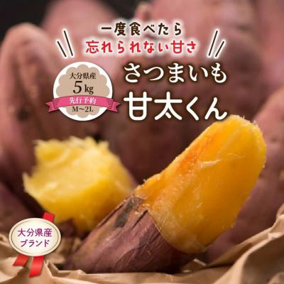 ふるさと納税 国東市 [先行受付]さつまいも 甘太くん 5kg 大分県産 M〜2L 紅はるか サツマイモ_2291R