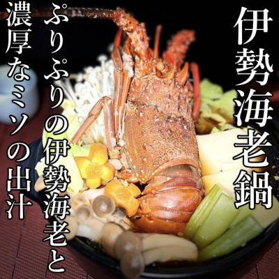 ふるさと納税 室戸市 【先行予約】室戸市産活伊勢海老　600g　レシピ、軍手付き |  | 01