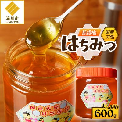 ふるさと納税 滝川市 [北海道滝川産]高見養蜂場の純粋はちみつ(菩提樹、シナの木600g×1本) 国産 天然 無添加 蜂蜜