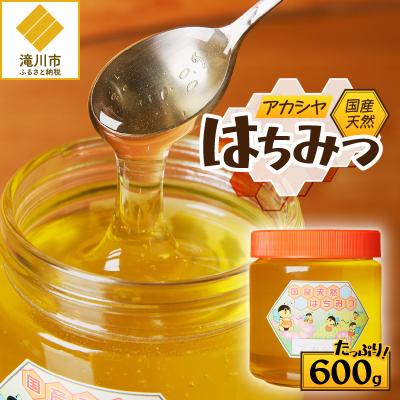 ふるさと納税 滝川市 [北海道滝川産]高見養蜂場の純粋はちみつ(アカシヤ600g×1本)国産 天然 無添加 ハチミツ 蜂蜜