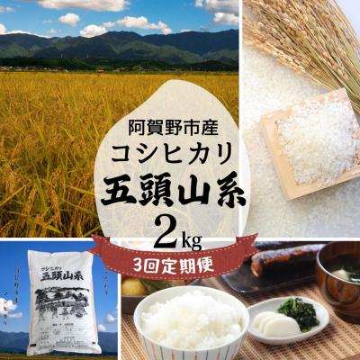 ふるさと納税 阿賀野市 【令和7年産】【3回定期便】「米屋のこだわり阿賀野市産」コシヒカリ2kg×3回 |  | 01