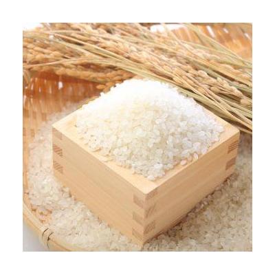 ふるさと納税 阿賀野市 【令和7年産】【3回定期便】「米屋のこだわり阿賀野市産」コシヒカリ2kg×3回 |  | 02