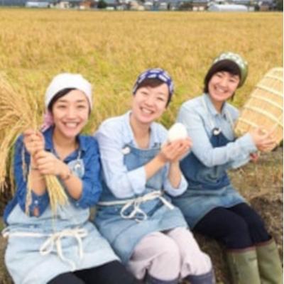 ふるさと納税 阿賀野市 【令和7年産】【3回定期便】「米屋のこだわり阿賀野市産」コシヒカリ2kg×3回 |  | 03